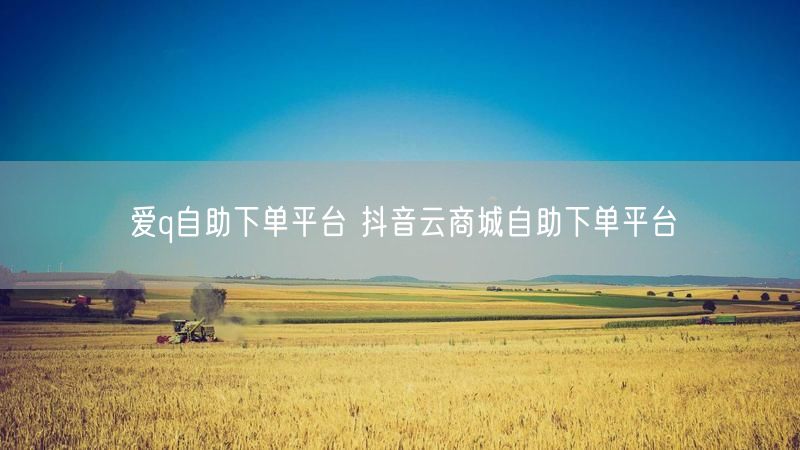 爱q自助下单平台 抖音云商城自助下单平台