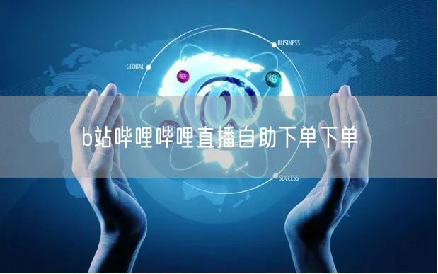 b站哔哩哔哩直播自助下单下单