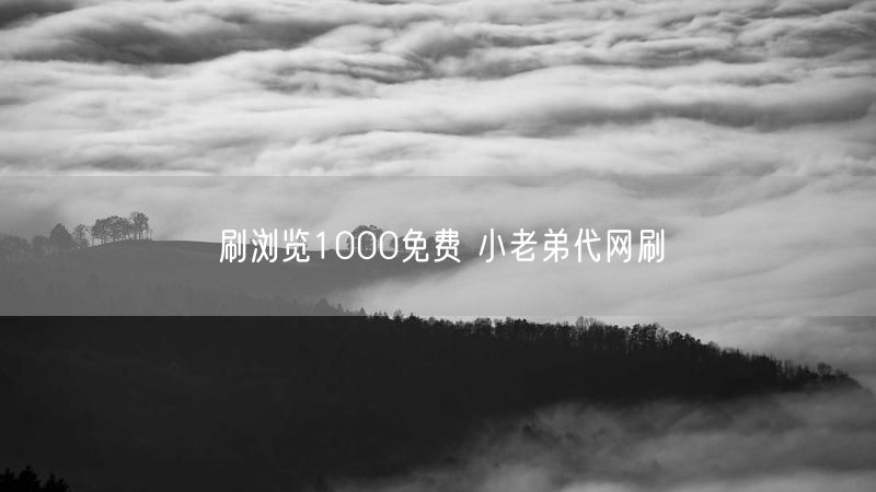刷浏览1000免费 小老弟代网刷