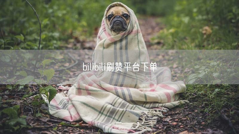 bilibili刷赞平台下单