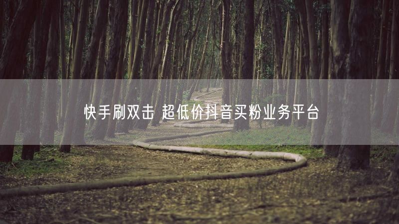 快手刷双击 超低价抖音买粉业务平台