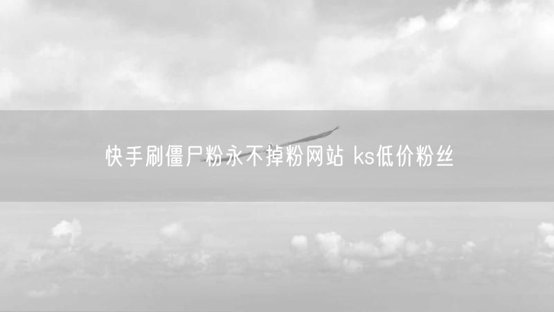 快手刷僵尸粉永不掉粉网站 ks低价粉丝