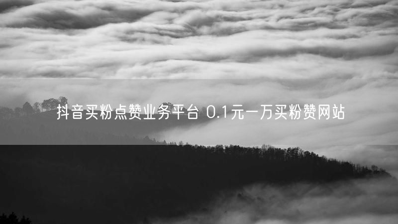 抖音买粉点赞业务平台 0.1元一万买粉赞网站