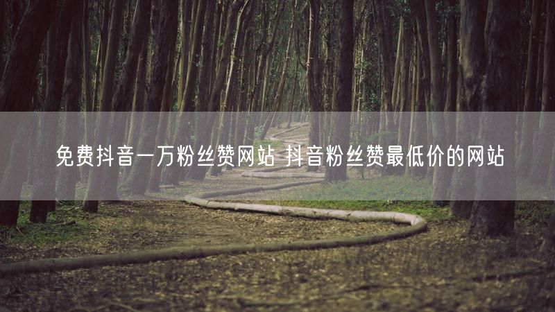 免费抖音一万粉丝赞网站 抖音粉丝赞最低价的网站