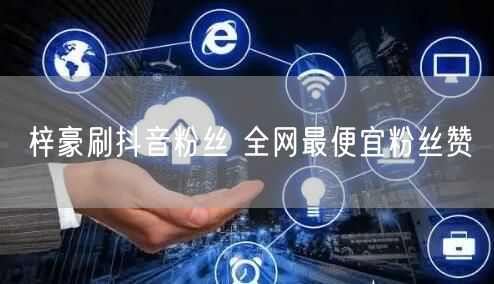 梓豪刷抖音粉丝 全网最便宜粉丝赞