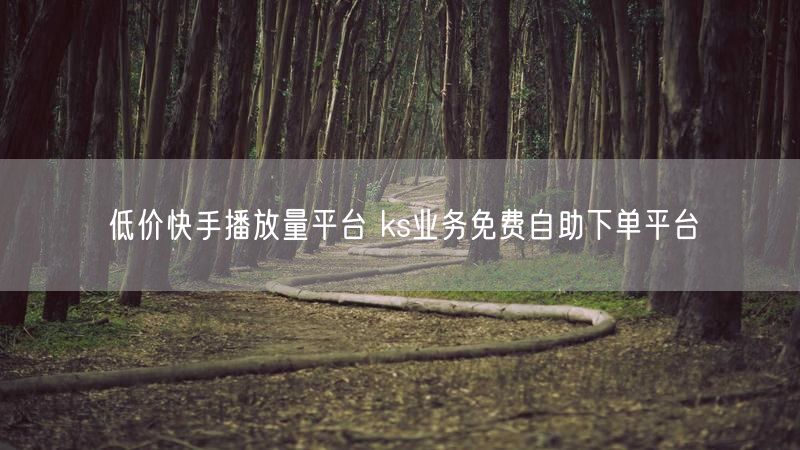 低价快手播放量平台 ks业务免费自助下单平台