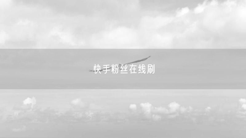 快手粉丝在线刷