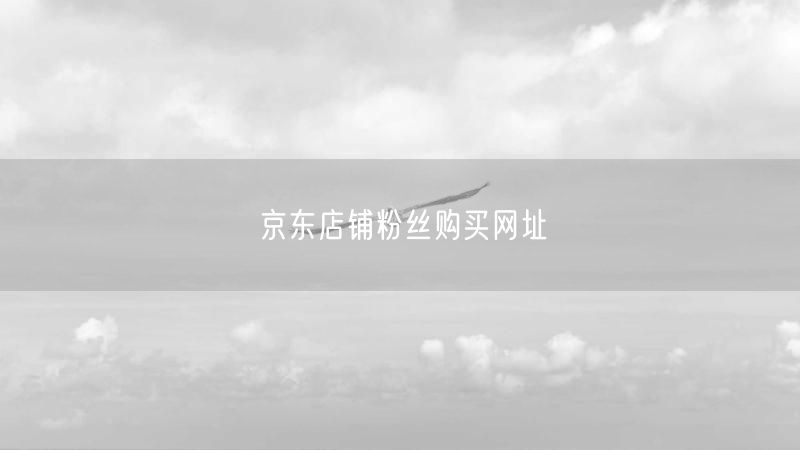 京东店铺粉丝购买网址