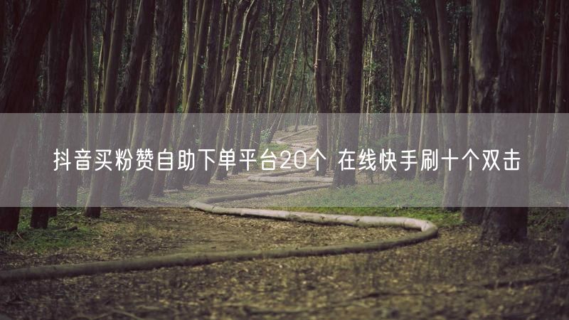 抖音买粉赞自助下单平台20个 在线快手刷十个双击
