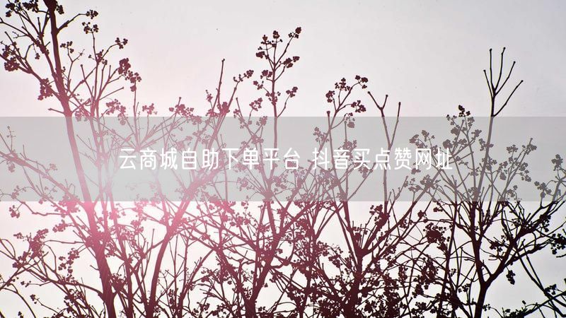 云商城自助下单平台 抖音买点赞网址