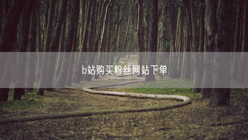 b站购买粉丝网站下单