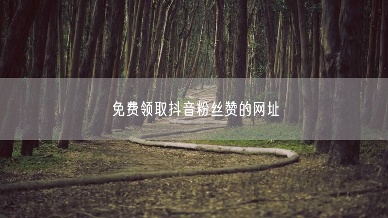 免费领取抖音粉丝赞的网址