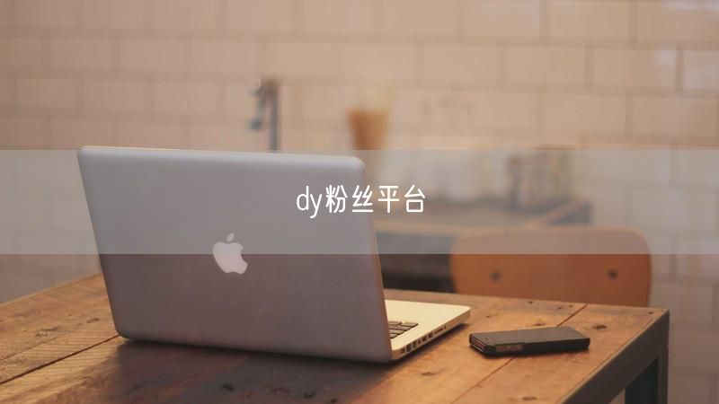 dy粉丝平台