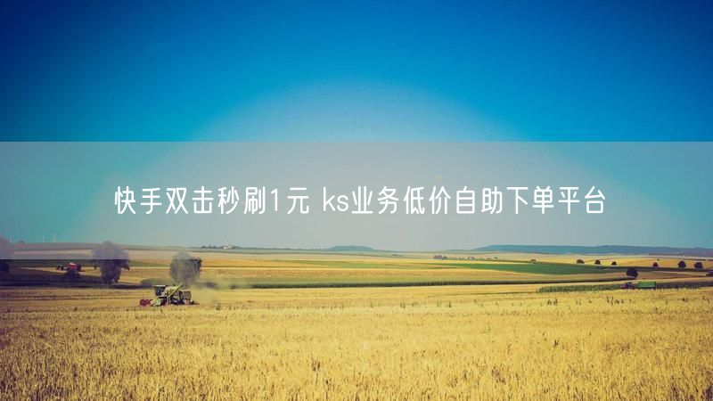 快手双击秒刷1元 ks业务低价自助下单平台
