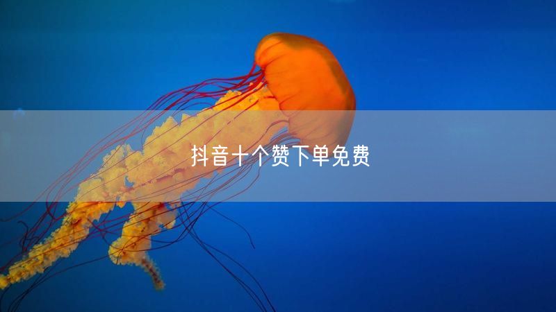 抖音十个赞下单免费