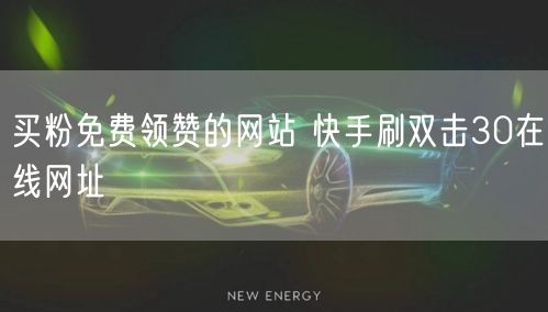 买粉免费领赞的网站 快手刷双击30在线网址