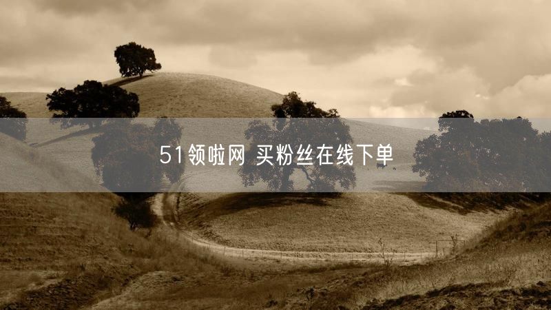 51领啦网 买粉丝在线下单