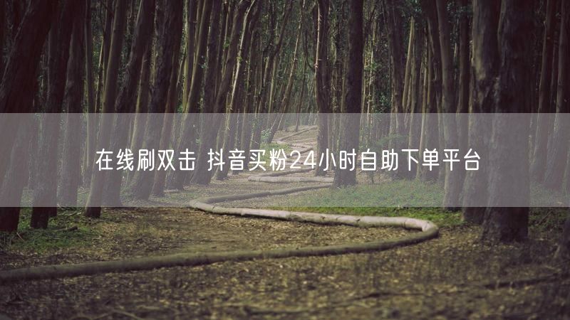 在线刷双击 抖音买粉24小时自助下单平台