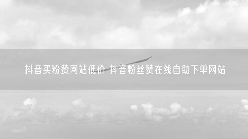 抖音买粉赞网站低价 抖音粉丝赞在线自助下单网站