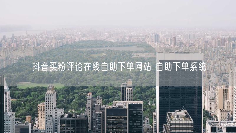 抖音买粉评论在线自助下单网站 自助下单系统