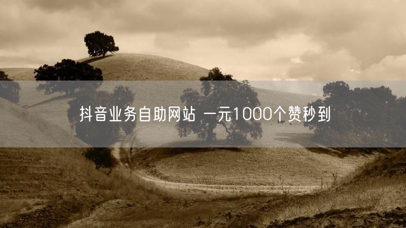 抖音业务自助网站 一元1000个赞秒到