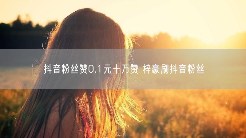 抖音粉丝赞0.1元十万赞 梓豪刷抖音粉丝