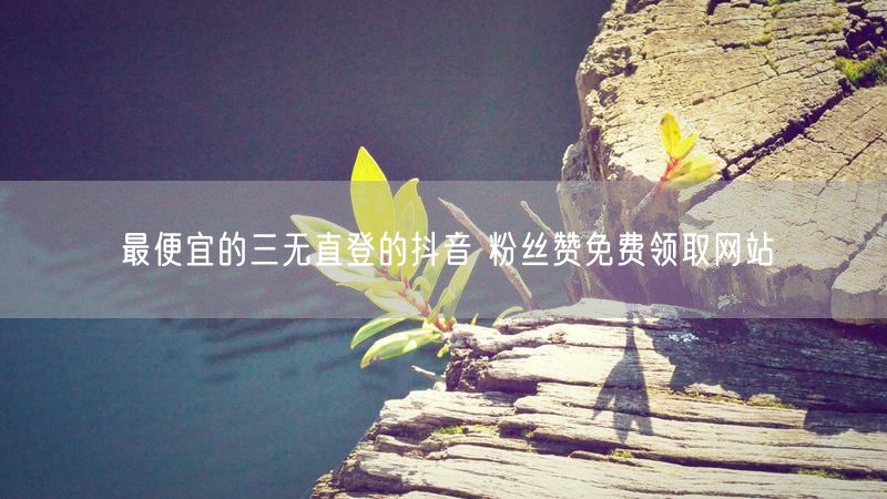 最便宜的三无直登的抖音 粉丝赞免费领取网站