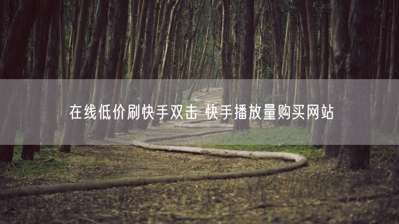 在线低价刷快手双击 快手播放量购买网站