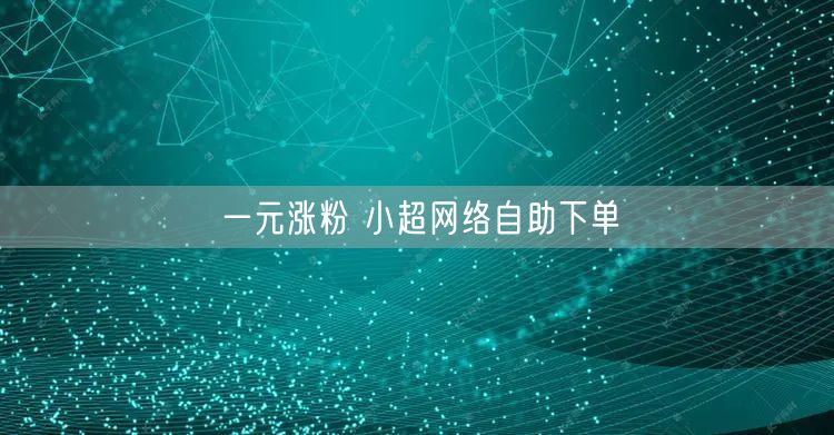 一元涨粉 小超网络自助下单