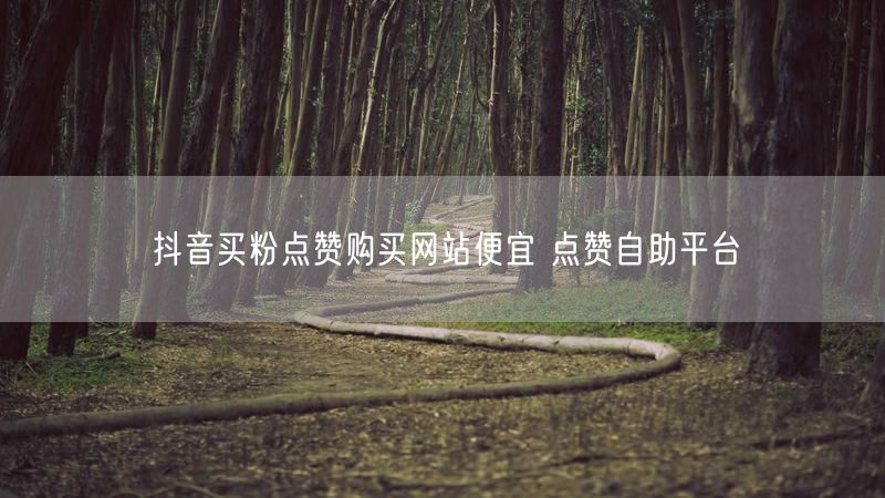 抖音买粉点赞购买网站便宜 点赞自助平台