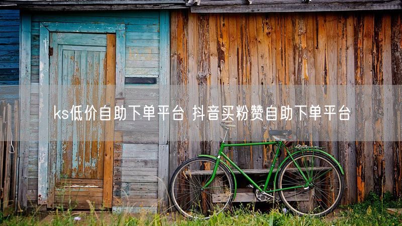 ks低价自助下单平台 抖音买粉赞自助下单平台