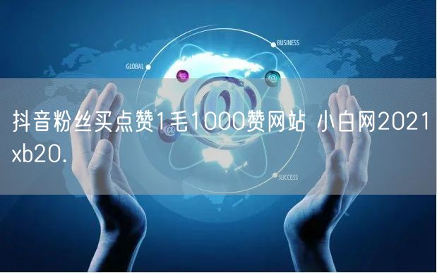 抖音粉丝买点赞1毛1000赞网站 小白网2021xb20.㏄