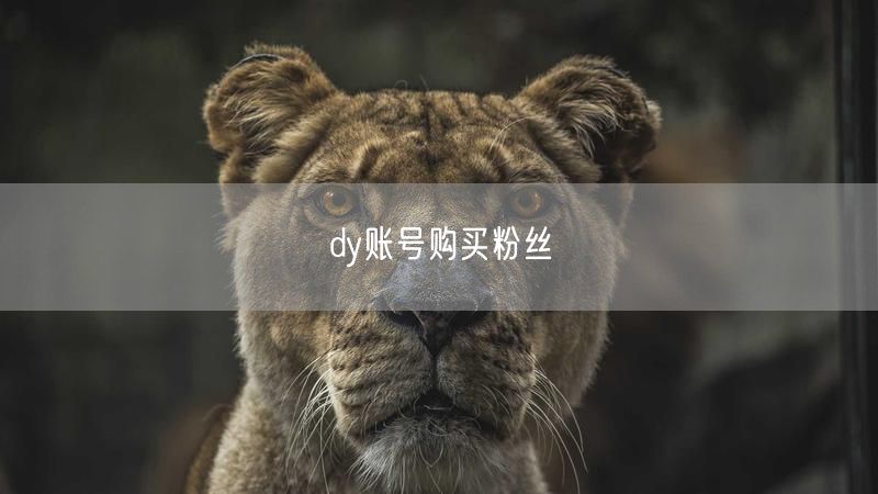 dy账号购买粉丝