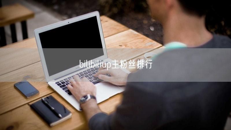 bilibiliup主粉丝排行