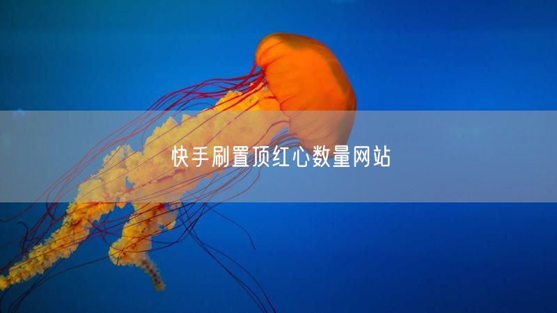 快手刷置顶红心数量网站