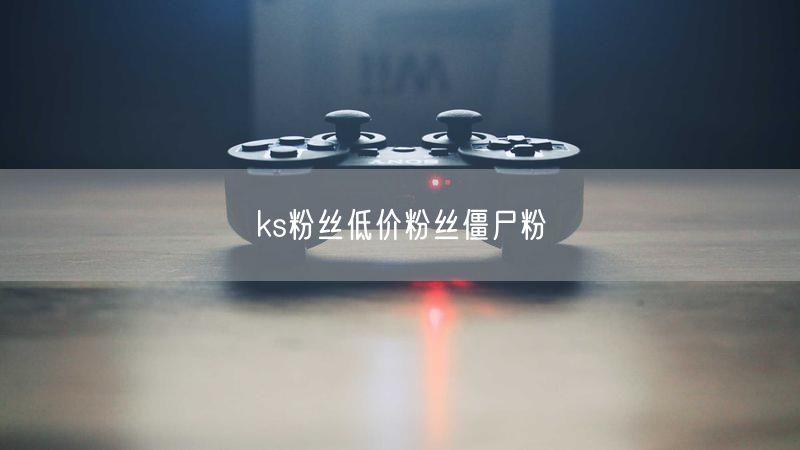 ks粉丝低价粉丝僵尸粉