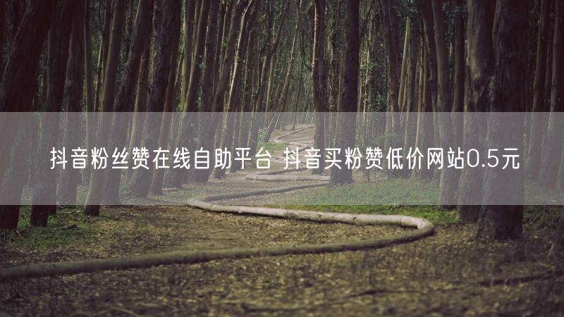 抖音粉丝赞在线自助平台 抖音买粉赞低价网站0.5元