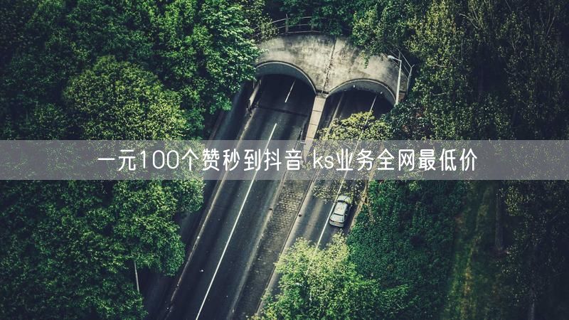 一元100个赞秒到抖音 ks业务全网最低价