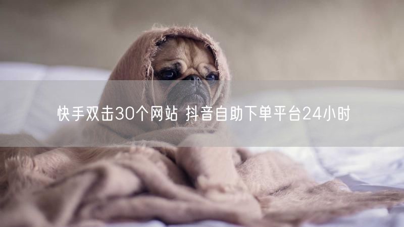 快手双击30个网站 抖音自助下单平台24小时