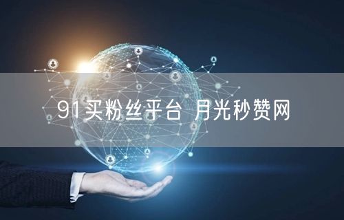 91买粉丝平台 月光秒赞网