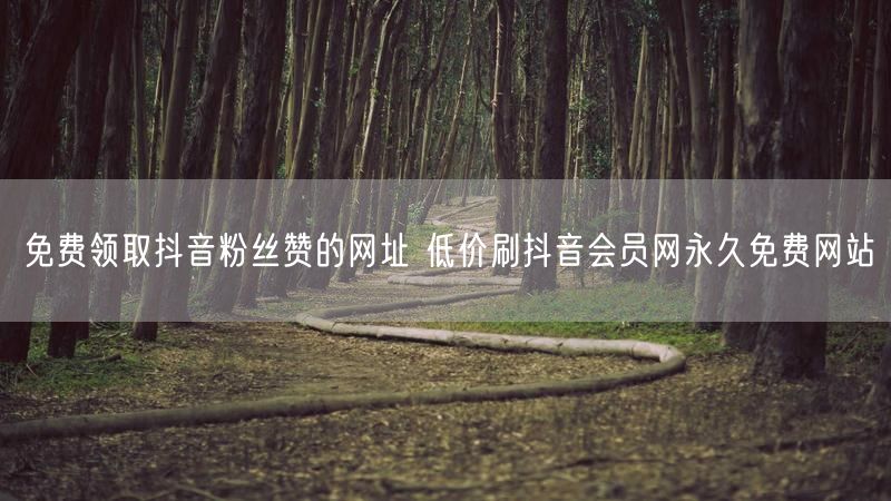 免费领取抖音粉丝赞的网址 低价刷抖音会员网永久免费网站