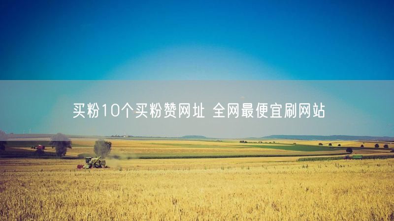 买粉10个买粉赞网址 全网最便宜刷网站