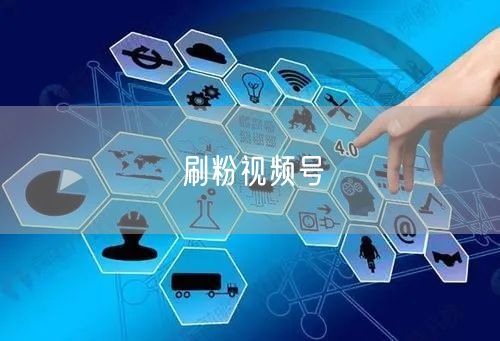 刷粉视频号