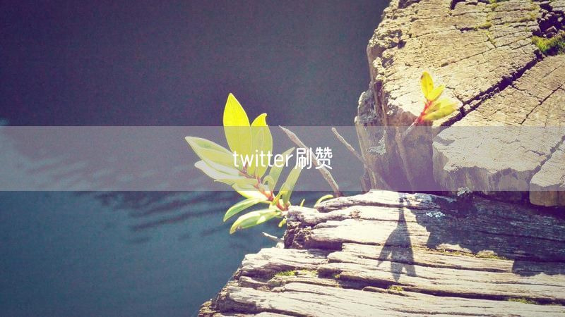 twitter刷赞