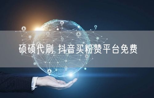 硕硕代刷 抖音买粉赞平台免费