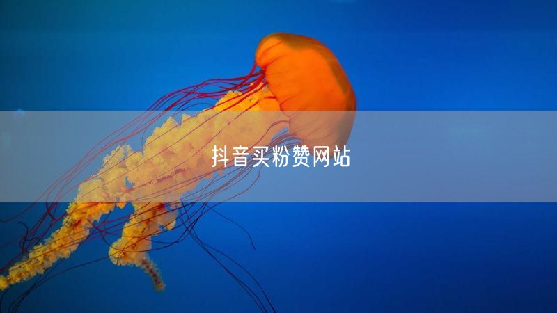抖音买粉赞网站