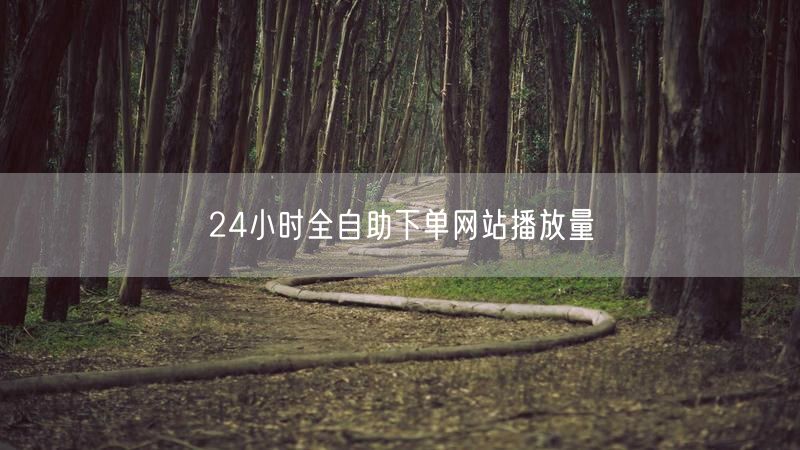 24小时全自助下单网站播放量
