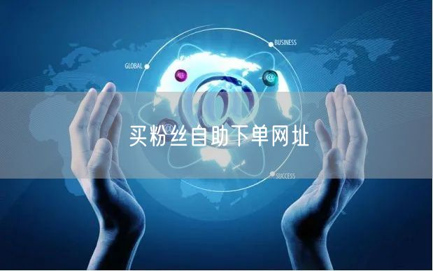 买粉丝自助下单网址