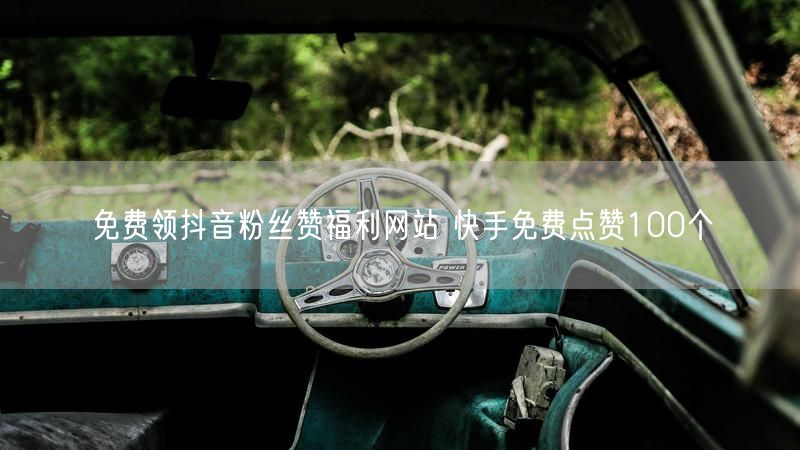 免费领抖音粉丝赞福利网站 快手免费点赞100个