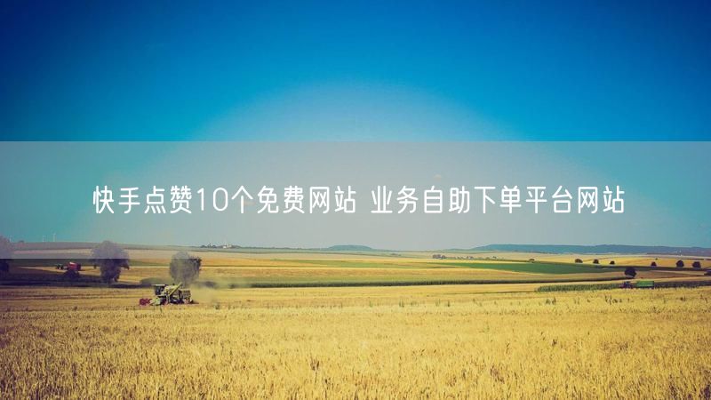 快手点赞10个免费网站 业务自助下单平台网站
